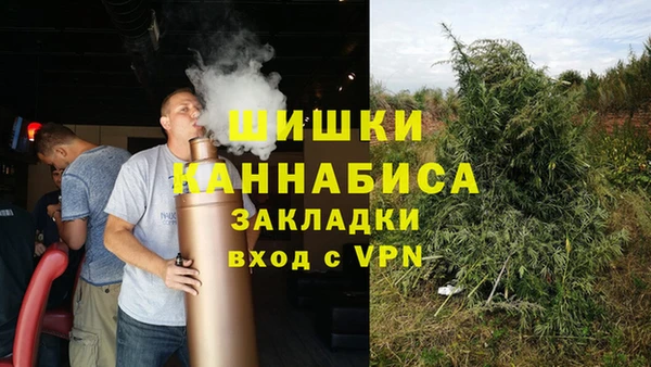 стаф Абинск