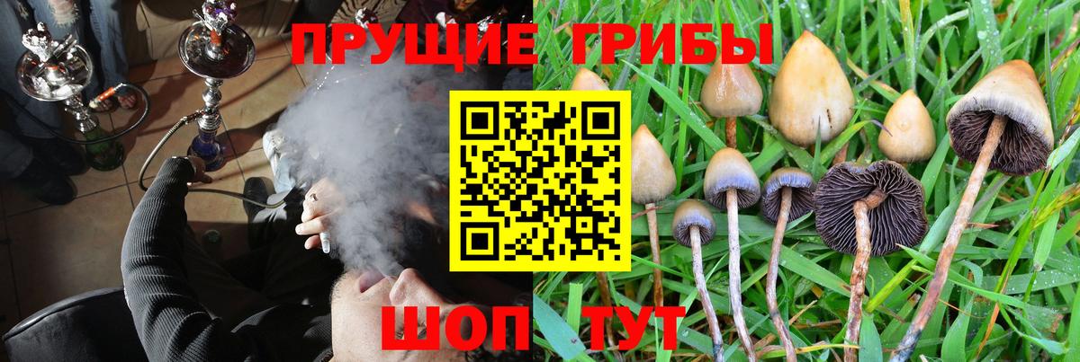 Темрюк  Галлюциногенные грибы Cubensis  Вход с VPN 